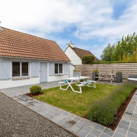 Zeevibes Oostduinkerke