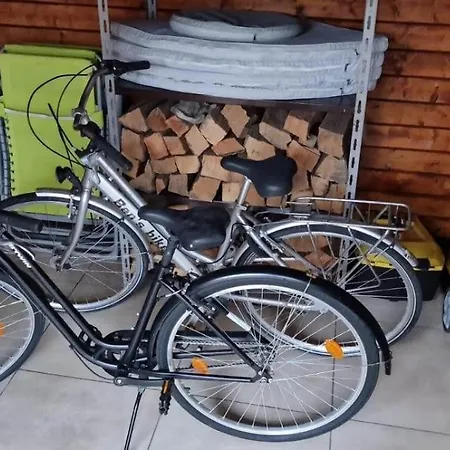 Zeevibes * Oostduinkerke