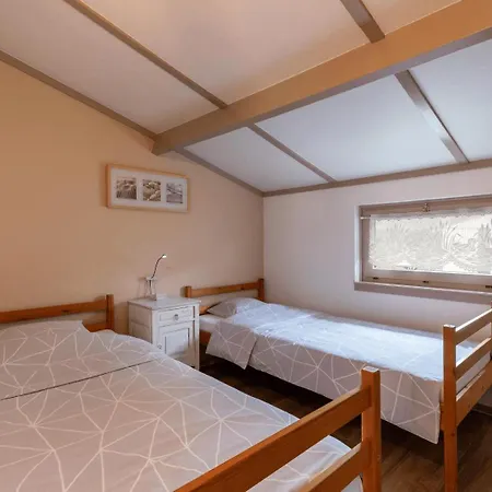 Zeevibes * Oostduinkerke