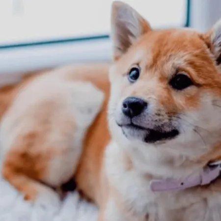 Сasa de vacaciones Zeevibes *