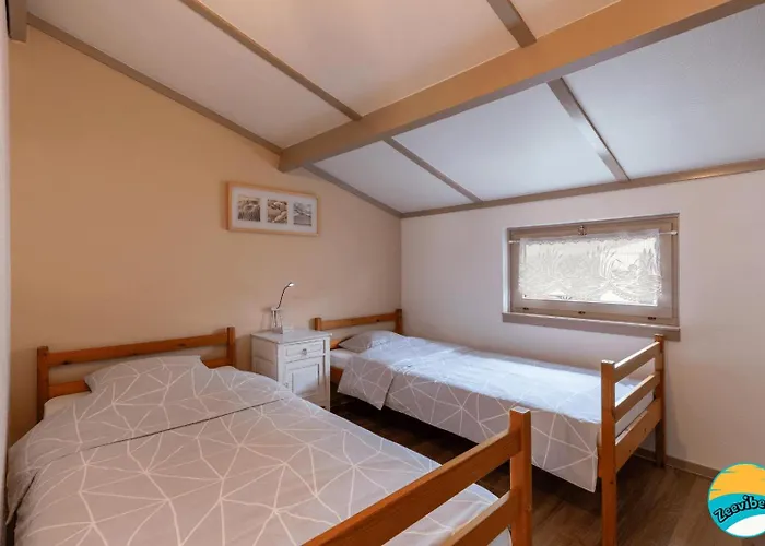 Zeevibes * Oostduinkerke